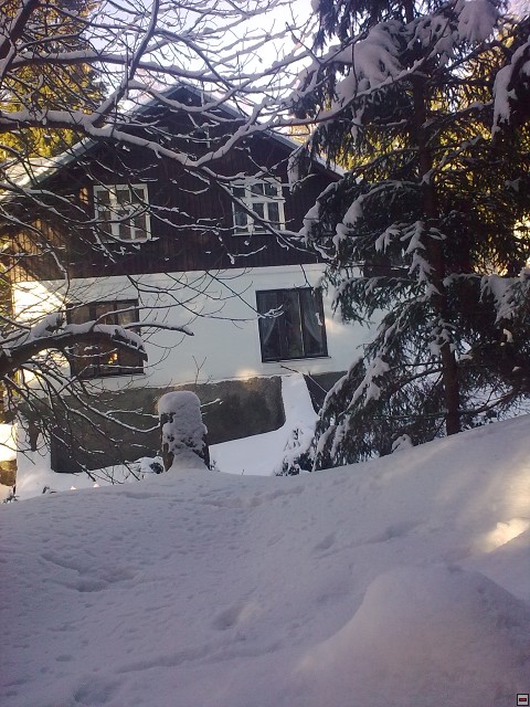 31.1.2011.jpg