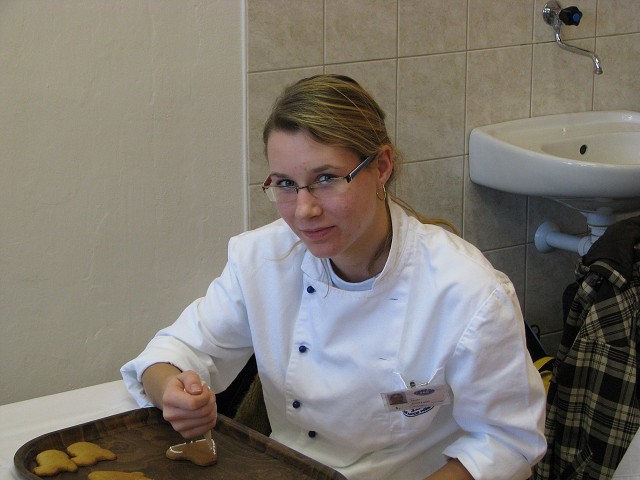 obrázek