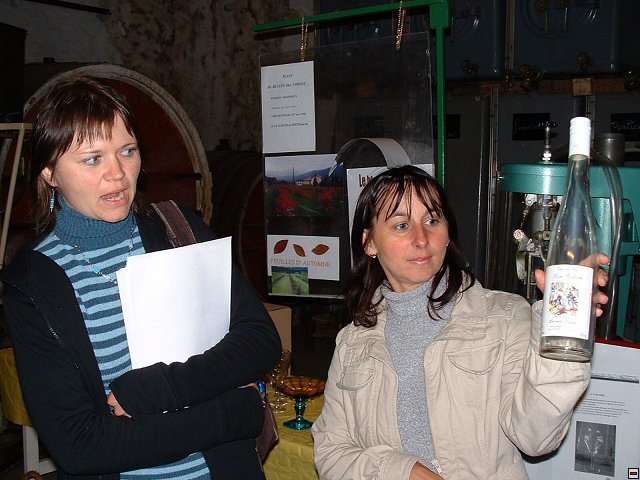 img00005.jpg