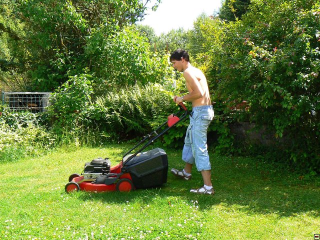 img00074.jpg