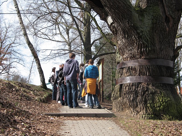 obrázek