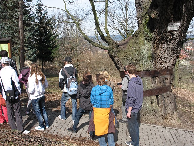 obrázek