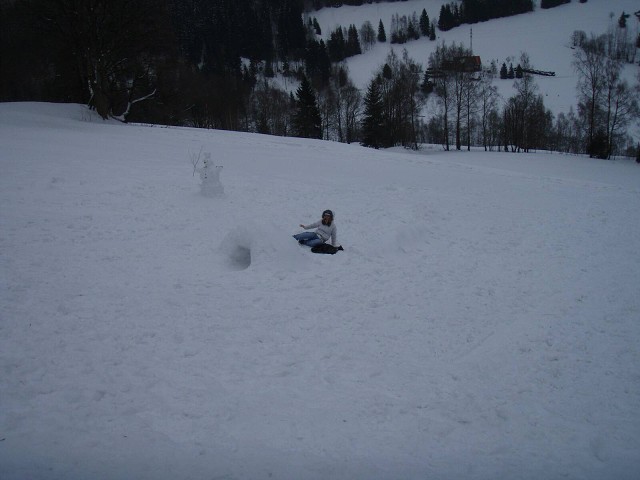 obrázek
