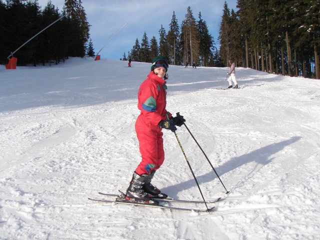 obrázek