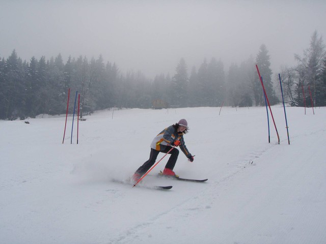 obrázek