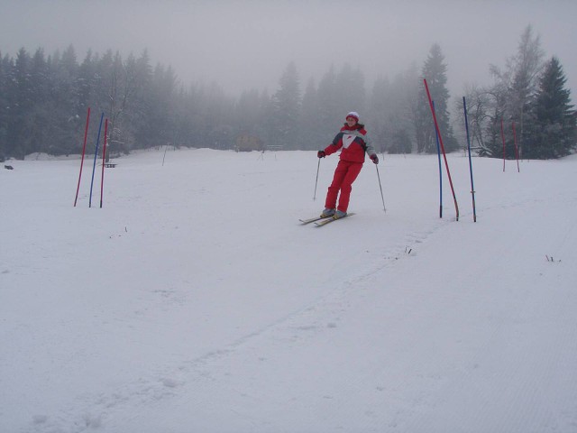 obrázek