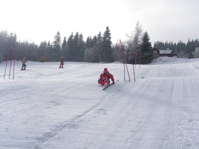 obrázek