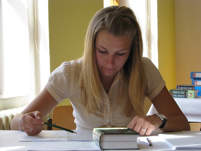 obrázek