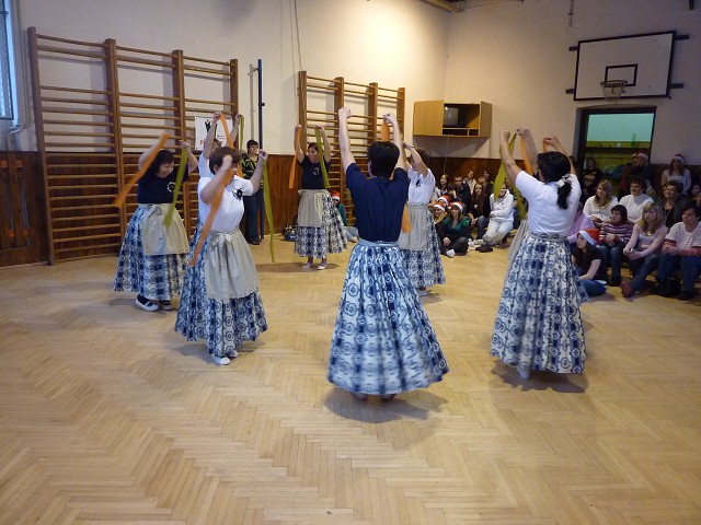 obrázek
