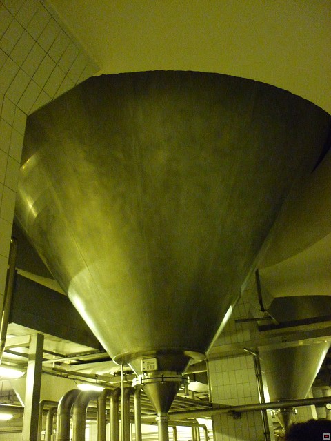 img00008.jpg