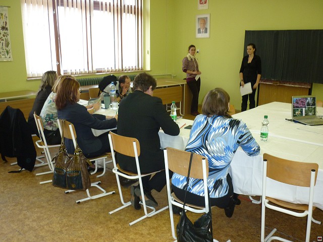 img00036.jpg