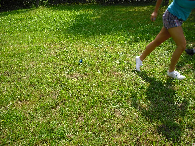 img00065.jpg